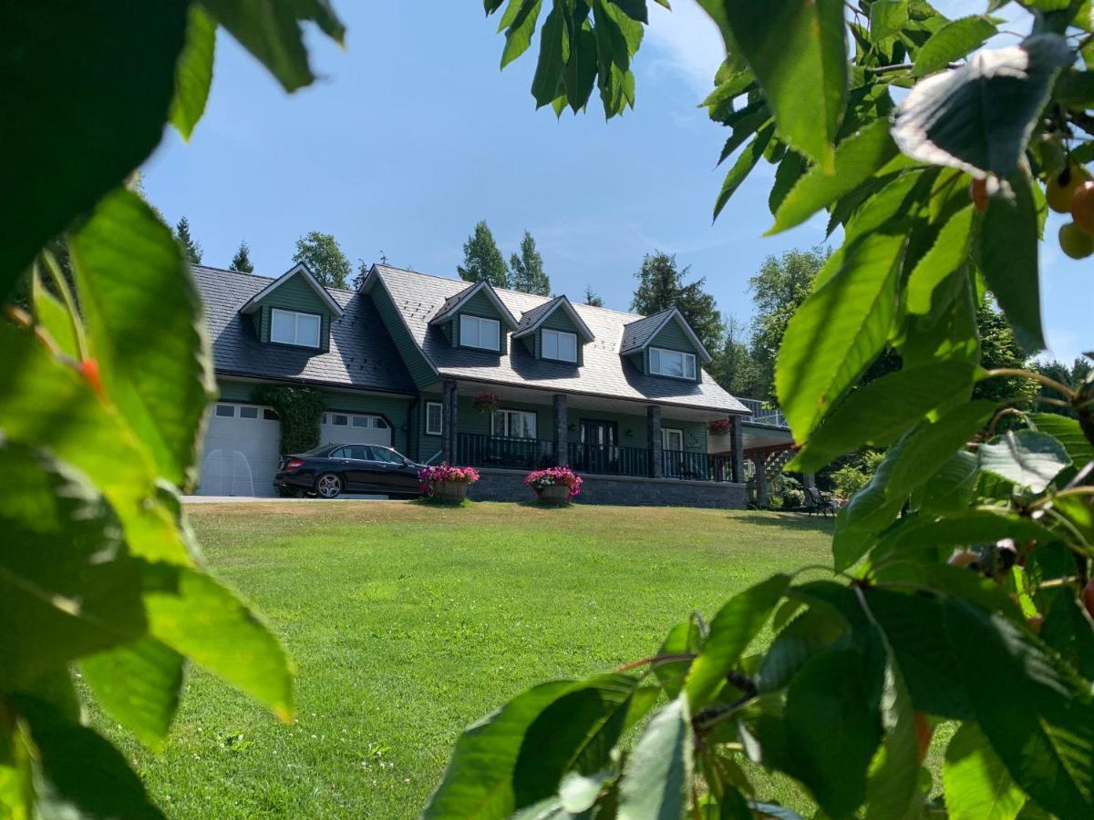 Remo Ridge Bed N Breakfast Terrace Exterior photo