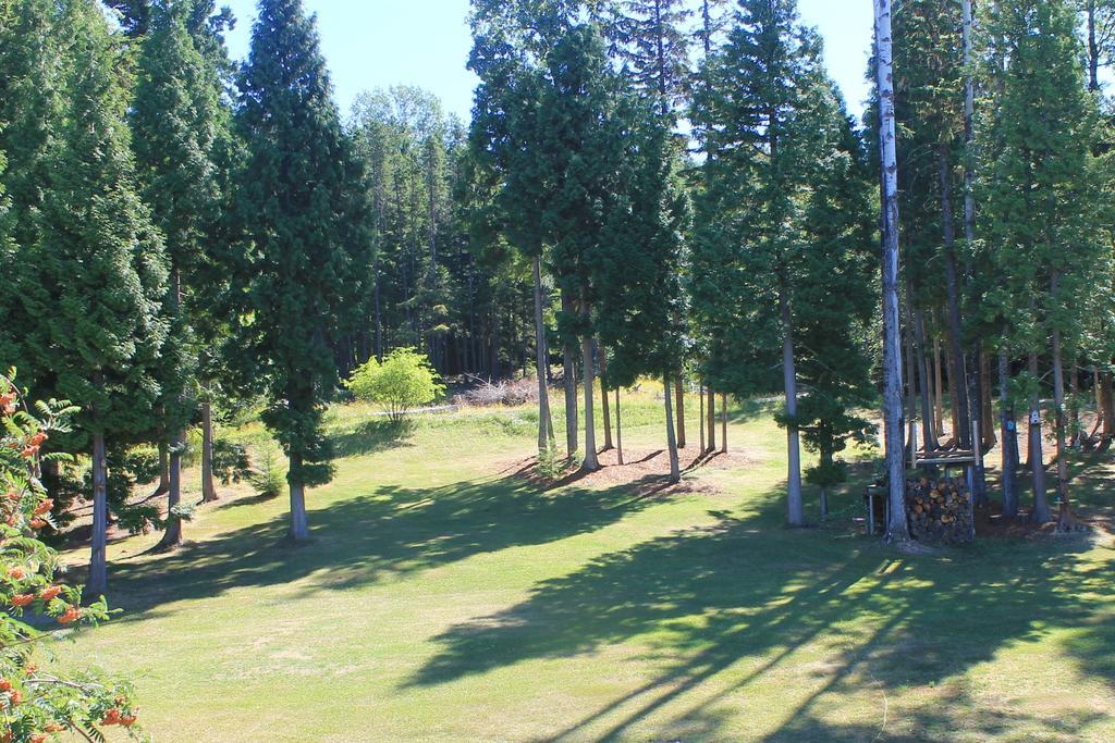 Remo Ridge Bed N Breakfast Terrace Exterior photo